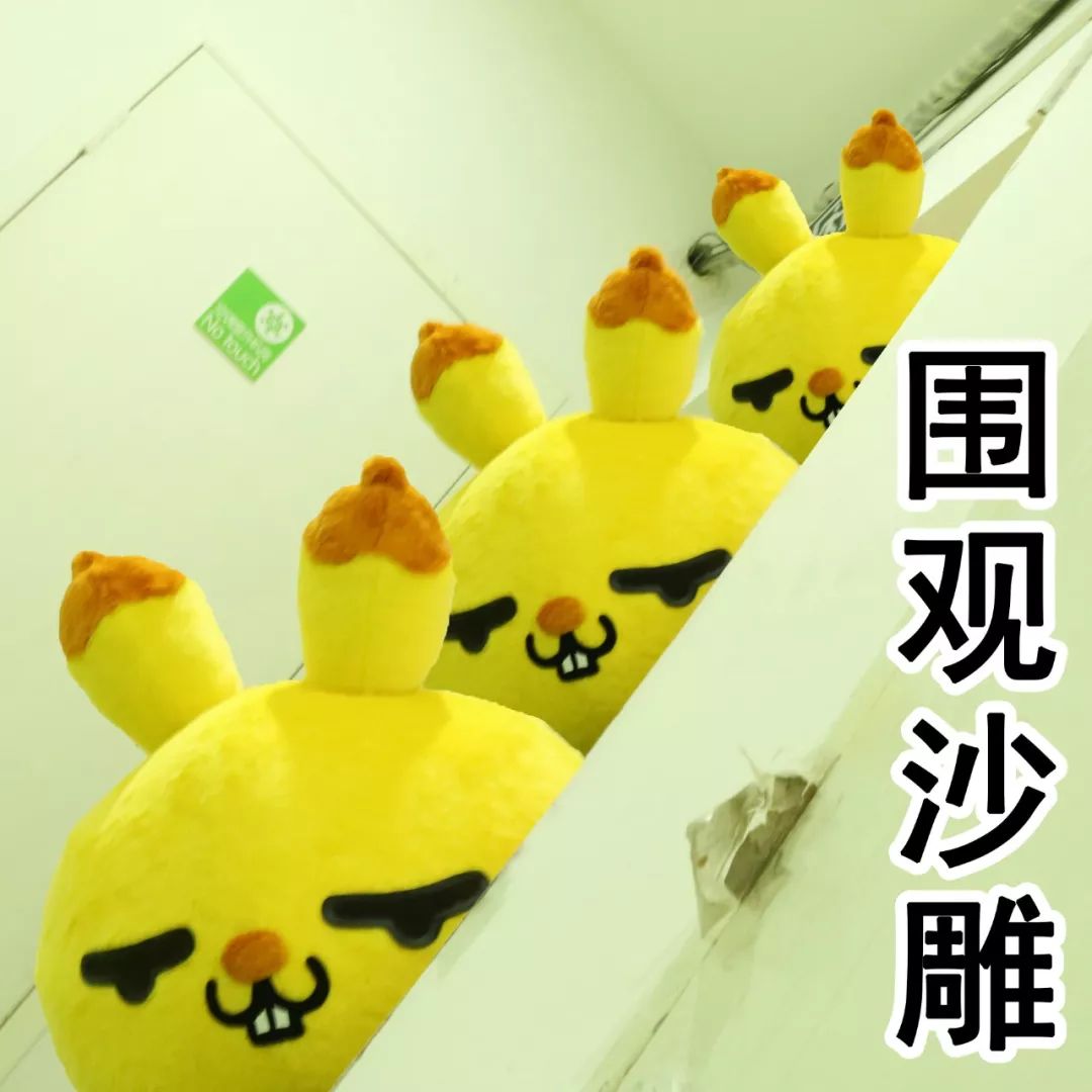 弄丢1600万钻戒,弄丢1800万的钻石