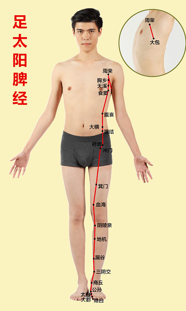 人体有十二条经络和三焦,人体有哪12条经络