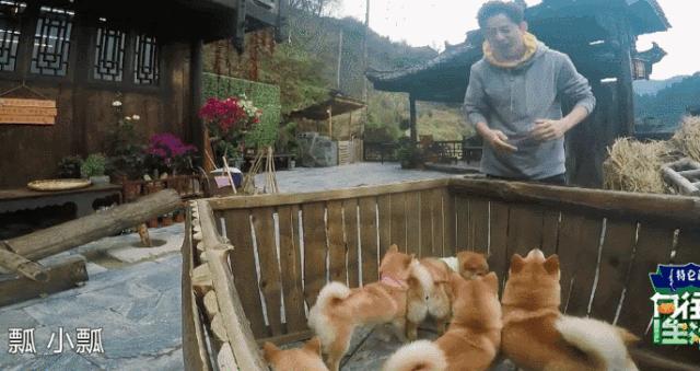 向往的生活第三季取景拍摄地,向往的生活第3季取景地点