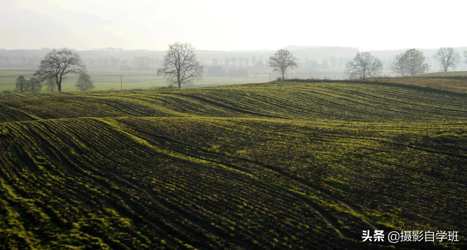 拍风景然后自拍怎么拍好看,值得拥有拍风景的10个摄影技巧