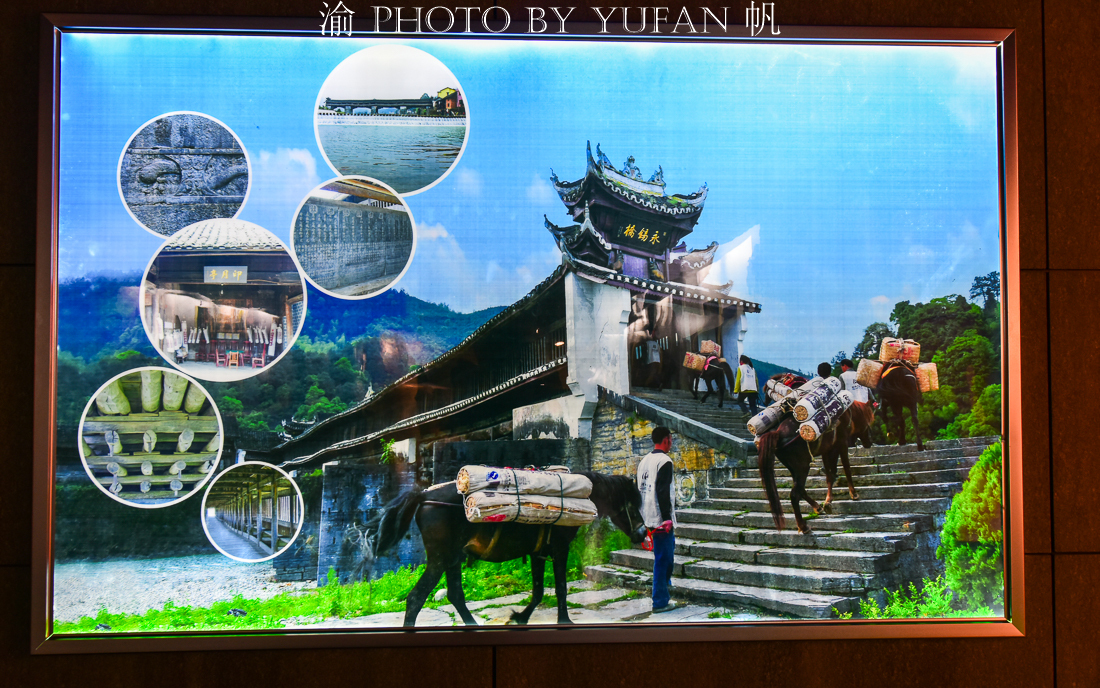 湖南省益阳市安化县特产黑茶,湖南安化县世界黑茶之都