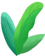 钦州像茶果一样的野果,广西的树结的果子可以吃