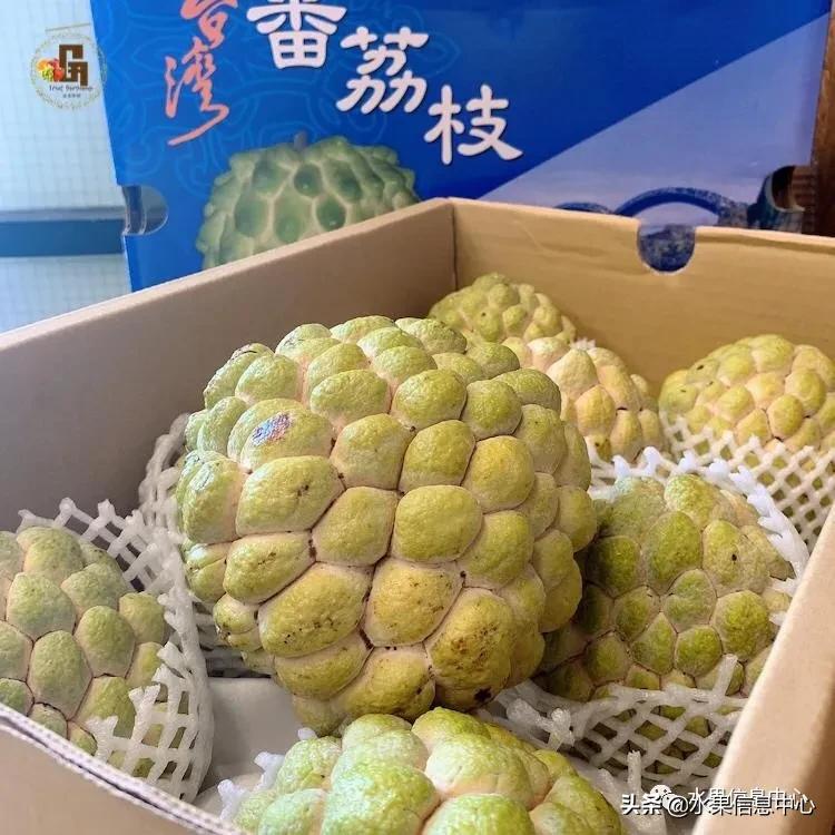 进口水果生意年入千万,批发水果月入百万