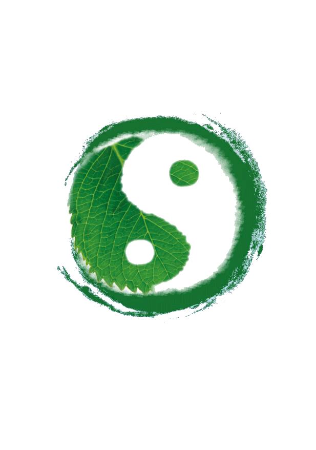 道教诸真宗派系,道教正一派八大门派