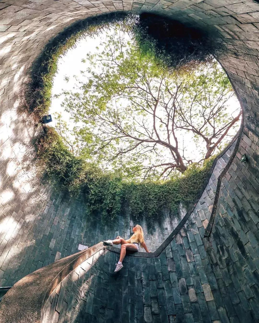 当景观遇上设计,当景观植物遇见灯光