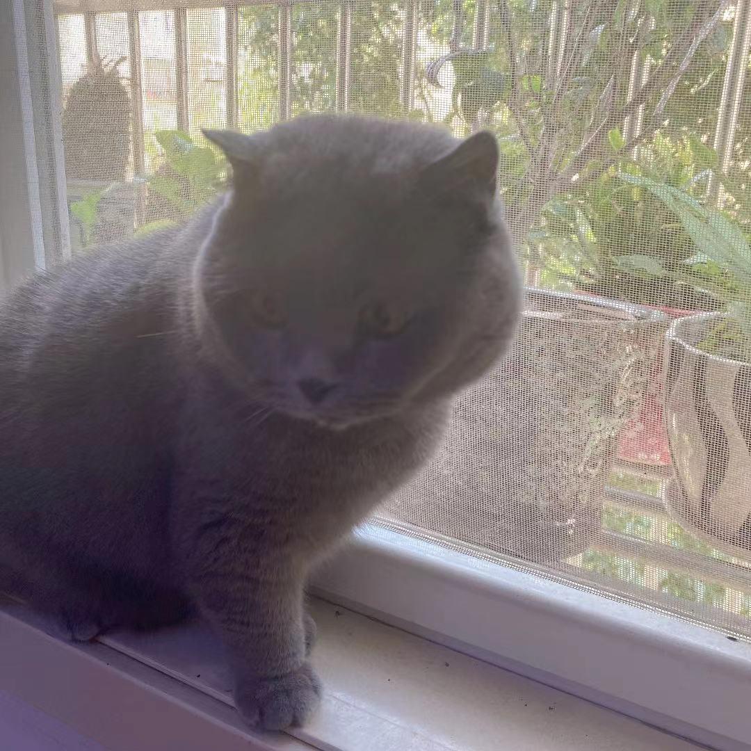 园园日记旅行,园园日记完整版