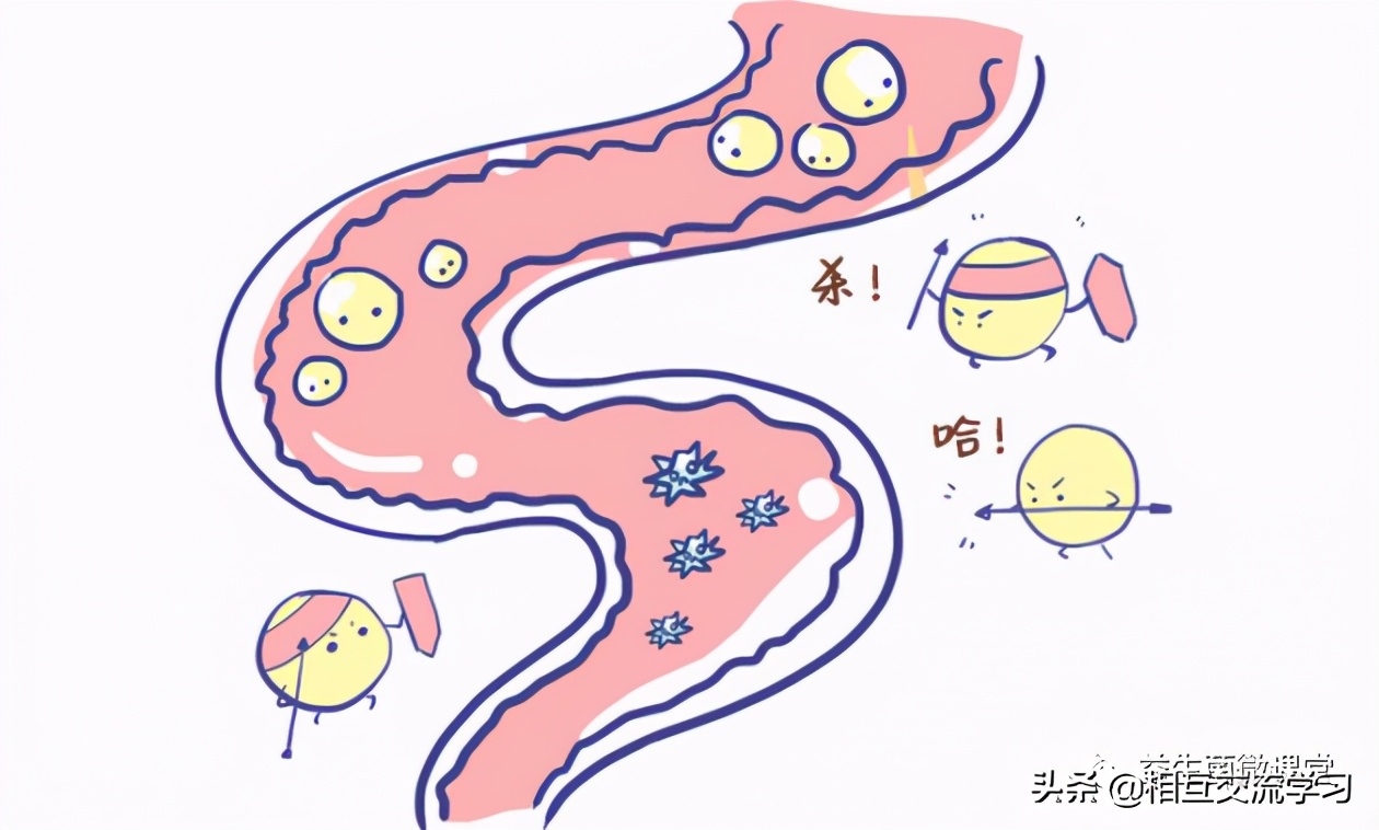 2023年益生菌展会时间表,上海2021酵素产业博览会
