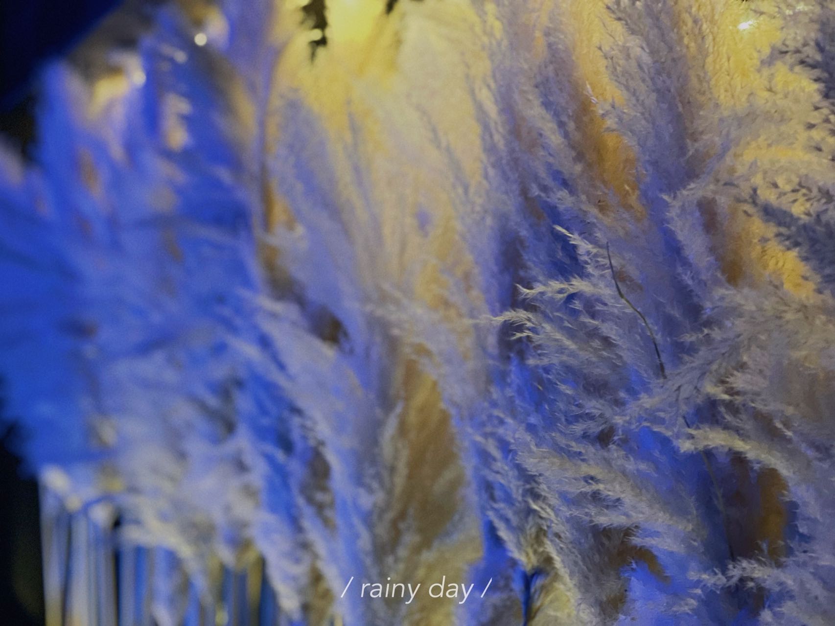 周末下班体验正规足疗,足浴spa休闲的好去处