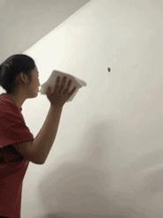 蟑螂最害怕什么生物,蟑螂真的是世界最可怕的生物