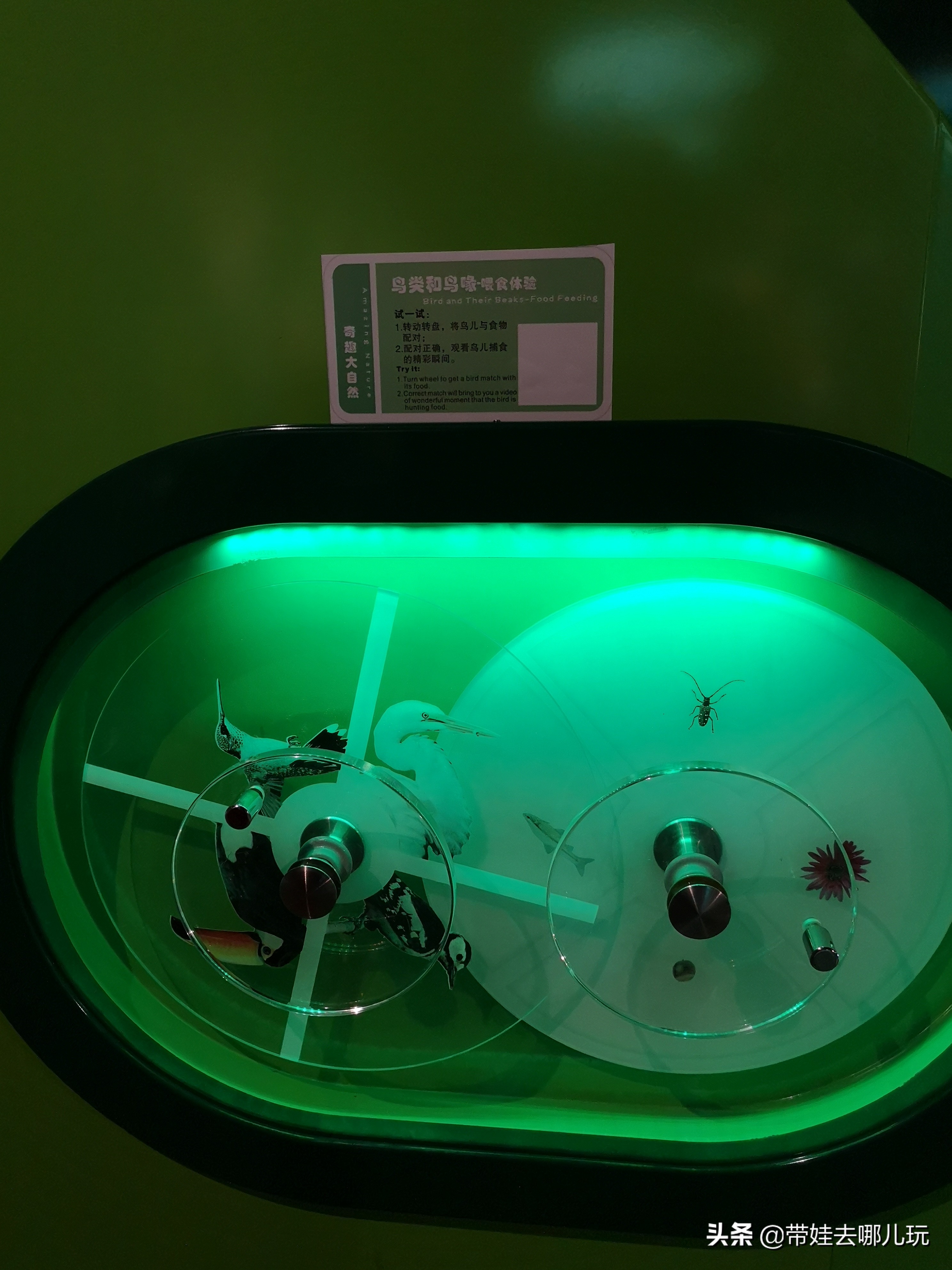 北京最大的儿童游乐场在哪里,北京最好玩儿童室内游乐场