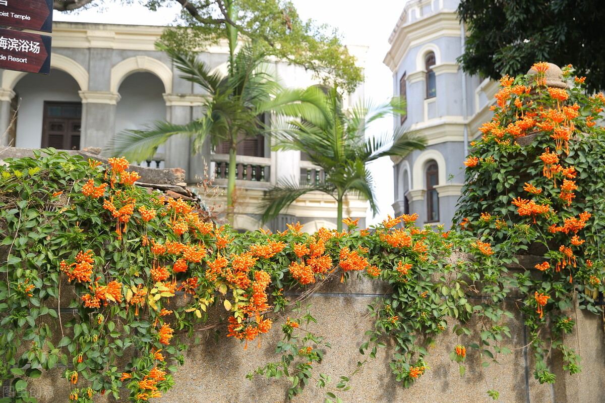 桂林适合闺蜜聚会的地方,六月份适合闺蜜旅游推荐
