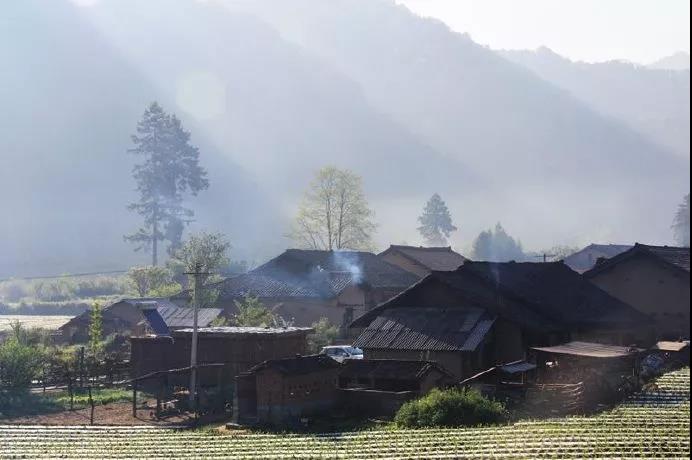 唐诗中的山水田园诗句,唐诗宋词中的田园生活