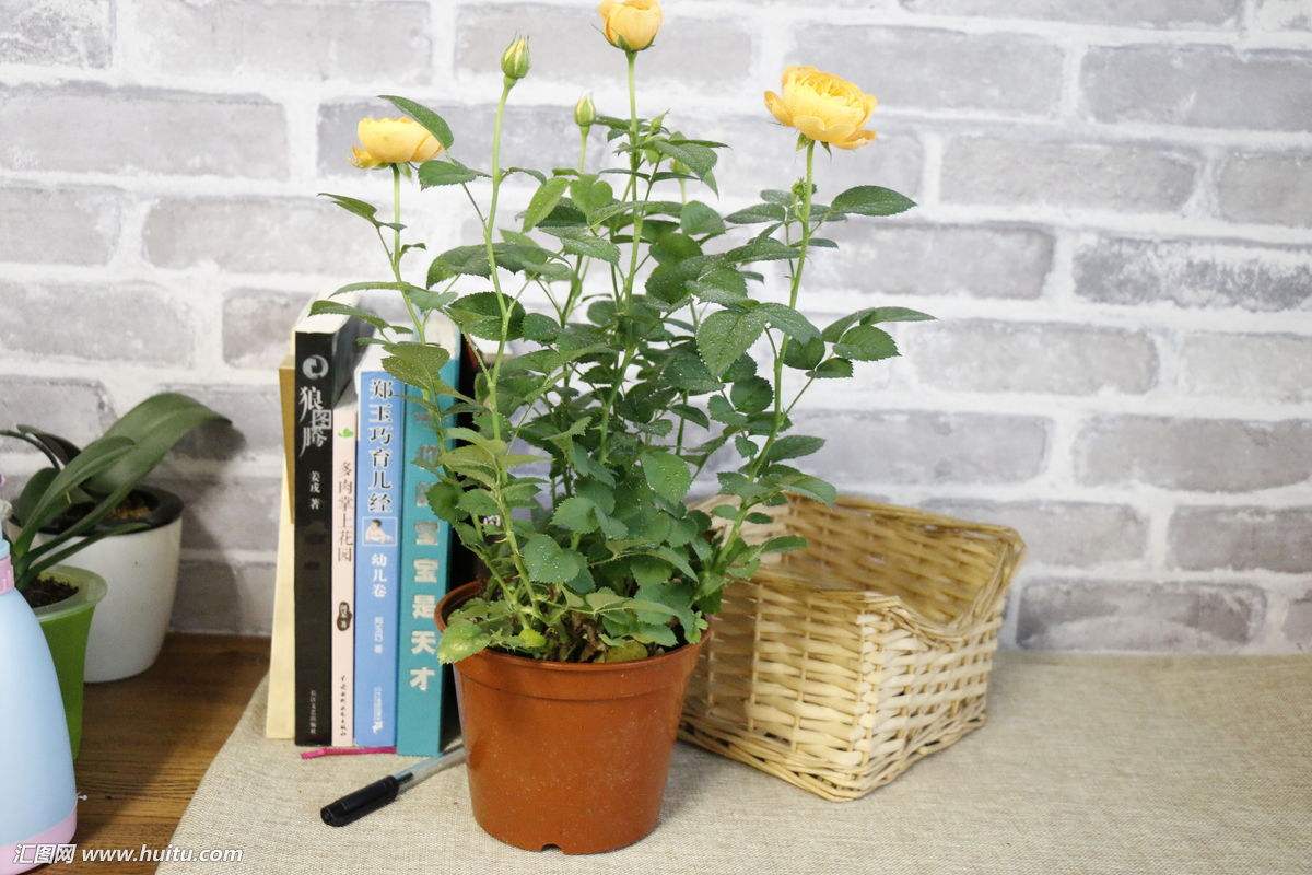 大学生活很无聊?做做这些吧!