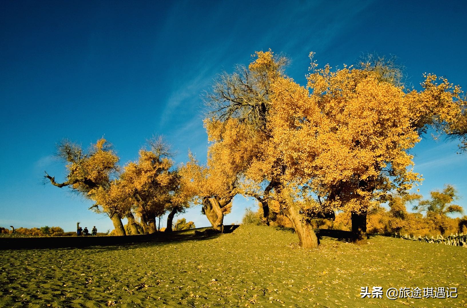 去北疆好还是南疆好,去新疆的南疆注意什么事项