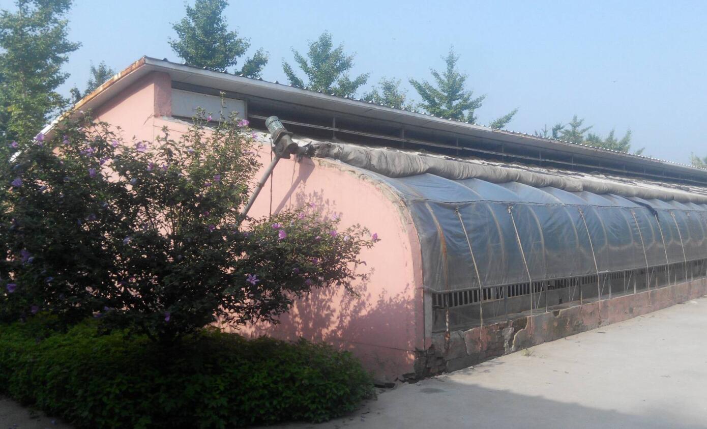 猪的养殖场猪舍都有哪些设施,半封闭式猪场如何做到冬季保暖