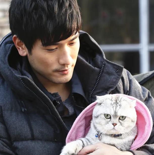 饺子馅有点咸怎么能就不咸了,韭菜白菜猪肉饺子馅有点咸怎么办