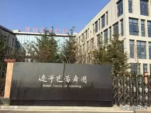 辽宁芭蕾舞学校招生简章,辽宁芭蕾舞附中22年招生简章