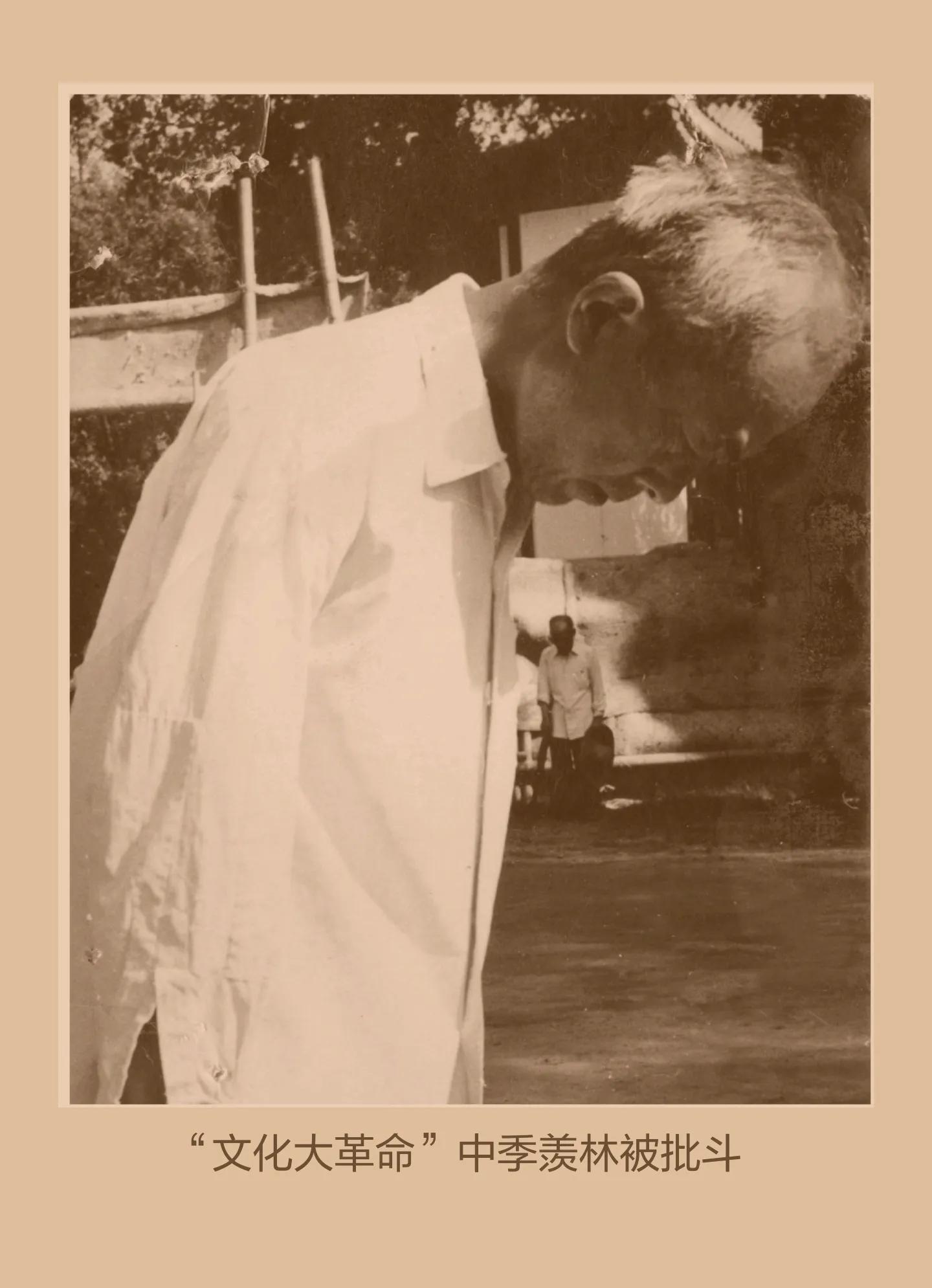 季羡林牛棚杂忆读书报告1000字,季羡林在牛棚杂忆里点了谁的名字