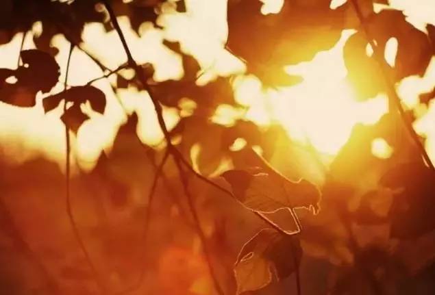 伴随人生与死亡的感悟,人生的结局就是死亡而活着的意义