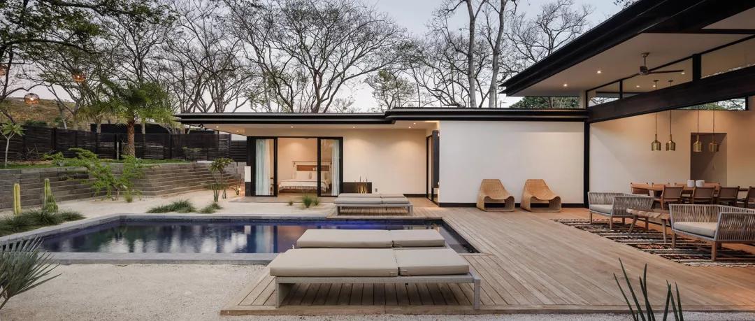 如果我有个院子我要种满花,如果我有个院子你猜我要种什么