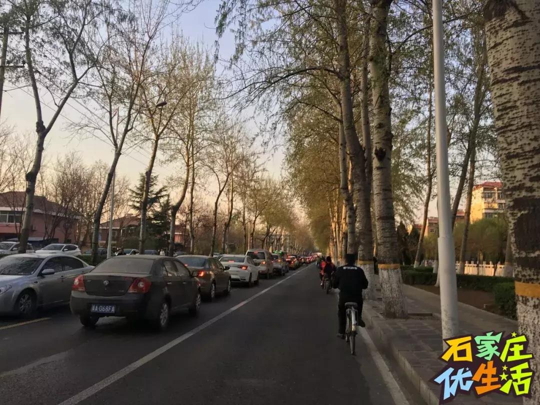 夹缝里生存,夹缝中生存