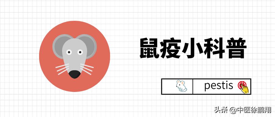 鼠疫最新事件新闻科普,鼠疫科普