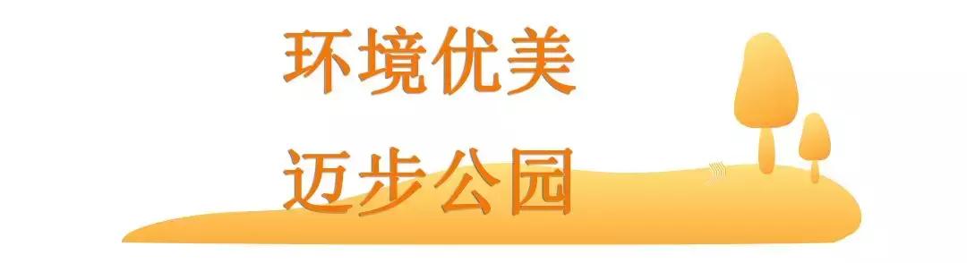 社区服务中心敬老文明号,民政局敬老文明号