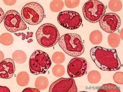 免疫球蛋白能治hbv吗,免疫球蛋白治疗血小板有效吗
