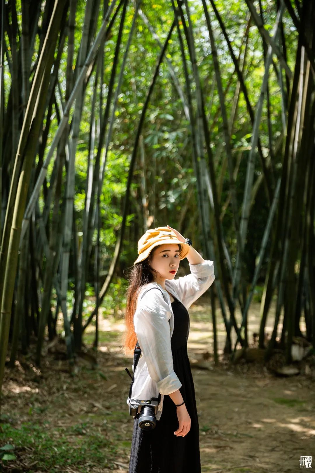 300+万㎡原始森林秘境，天河就有