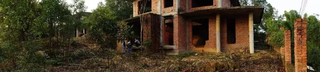 放弃一线城市年薪30万回老家,放弃30万年薪隐居深山