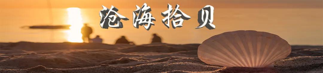 沧海拾贝看历史,沧海拾贝创作原声