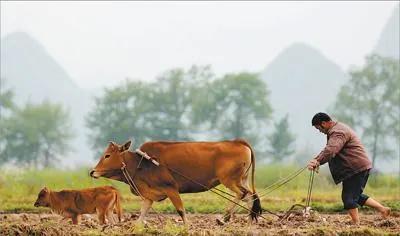 丘陵山区为什么难以实现机械化,丘陵地带无法机械化耕作