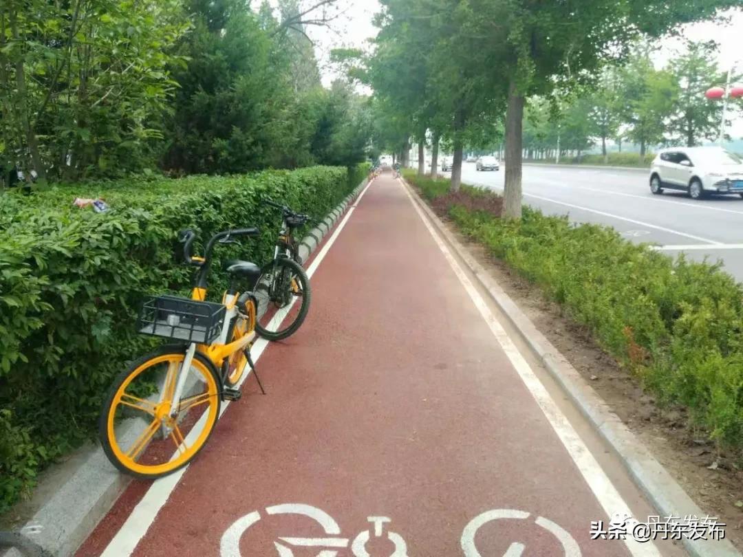 健身游泳两不误,健身娱乐两不误