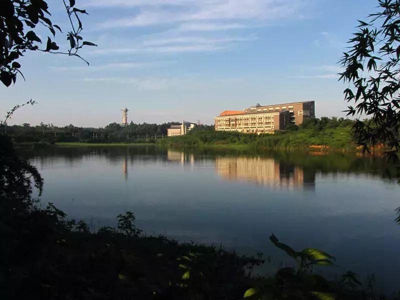 广东有哪些公办专科院校及录取线,广东2021专科390分能上什么大学