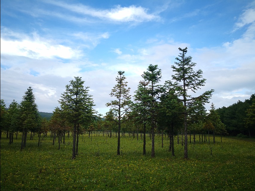 会东县最新县情(20190716)