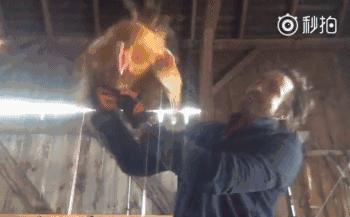 7年前惊艳世界的精灵王,如今在开拖拉机,“大王您养鸡都美”