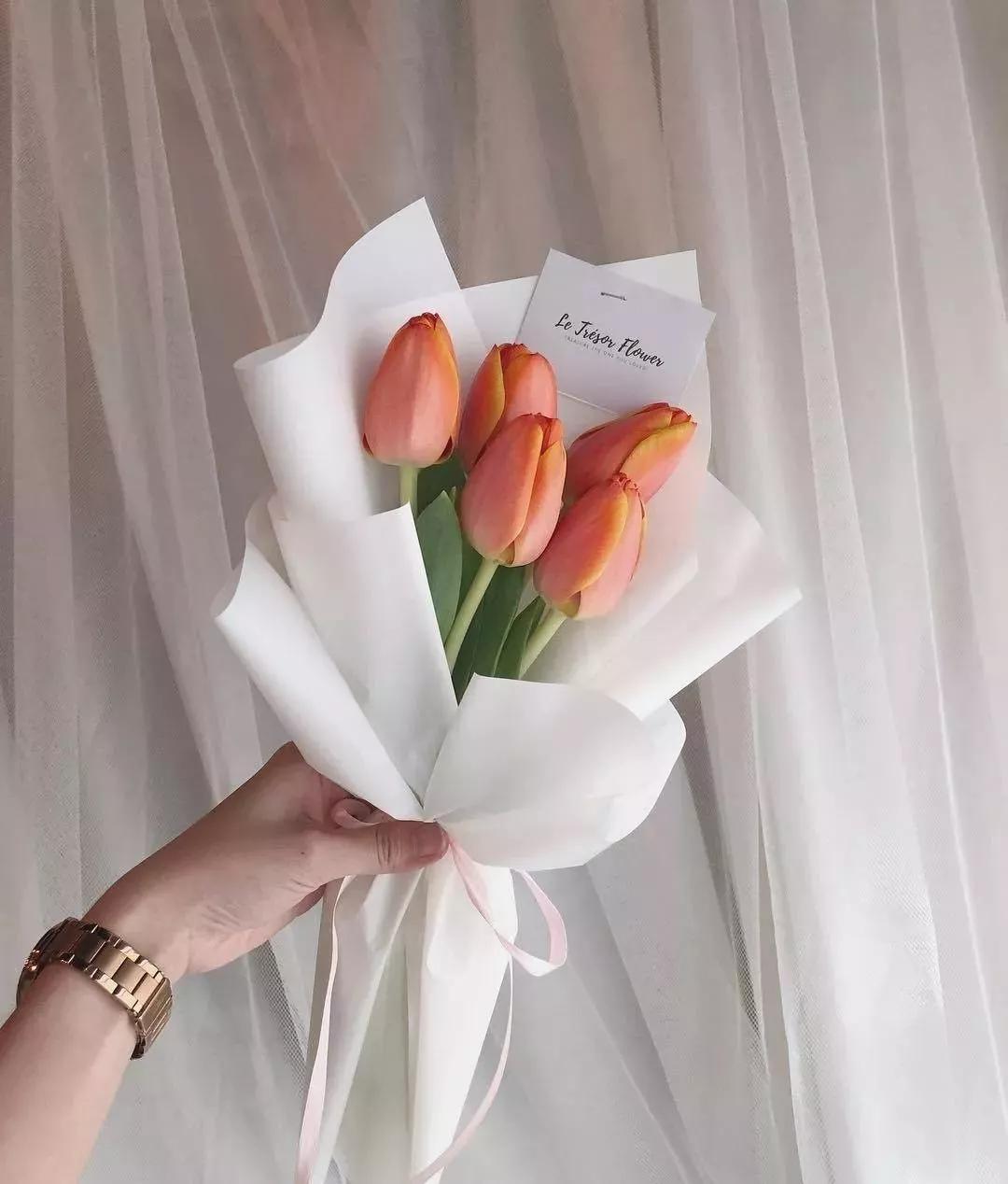 花要不要经常换水,花材正确处理方式及日常养护