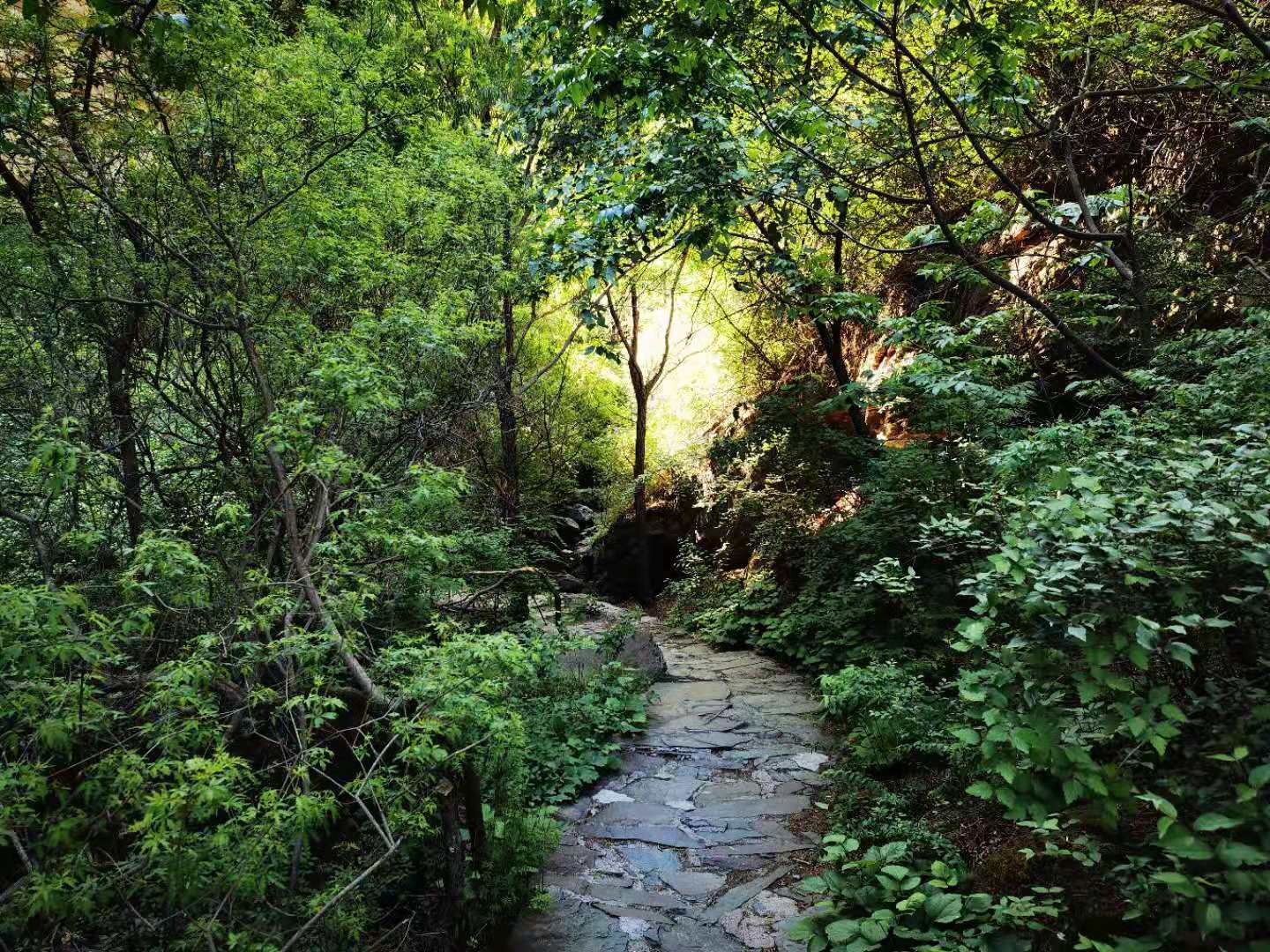 打卡北京双龙峡风景区,十里溪流百潭瀑布,北方小九寨名不虚传