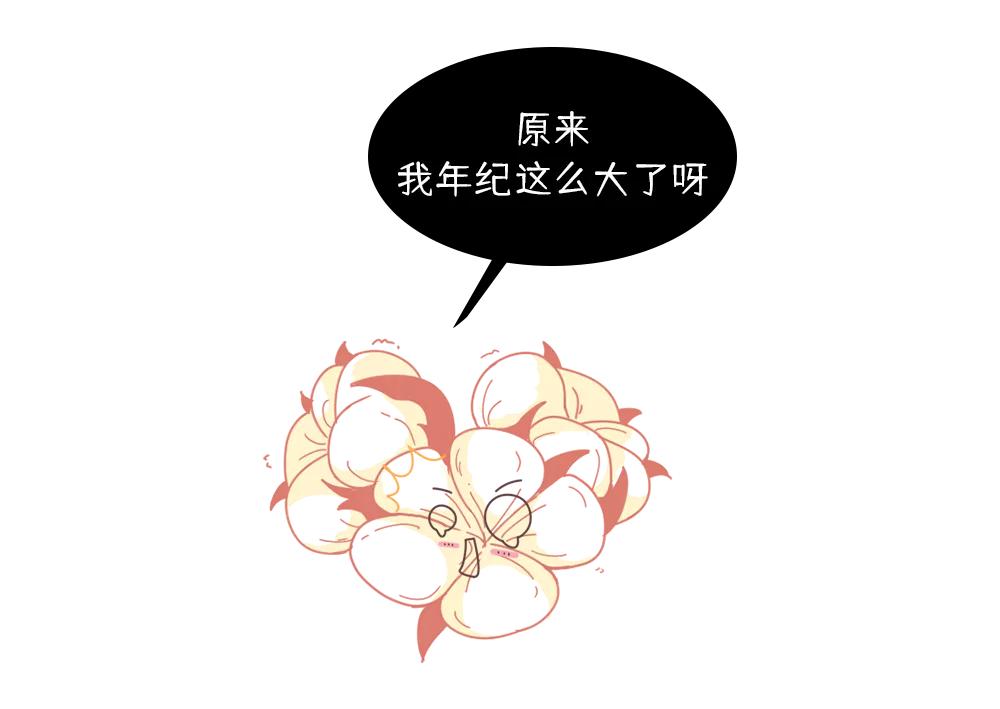 养活大量人口的粮食作物,正宗新疆新棉花大量上市