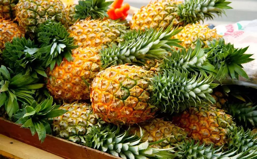 菠萝为什么会麻舌头,小孩吃菠萝舌头麻怎么回事