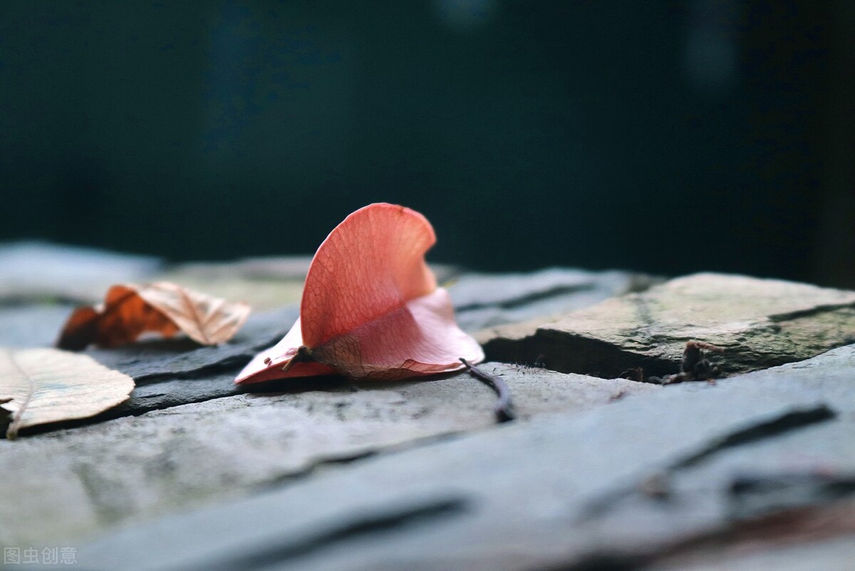 心若静了万物都是景,心若清净处处皆是莲花