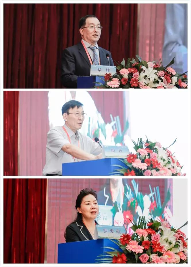 全国400余同道汇聚郑州共话肿瘤内科治疗新进展