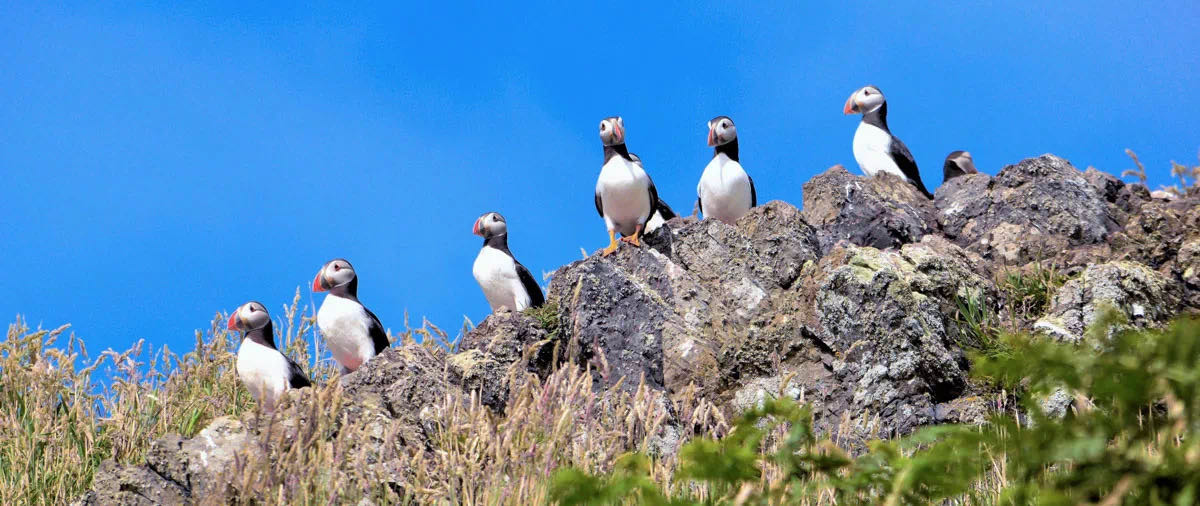 为什么我劝你一定要去趟英国?(四)威尔士篇