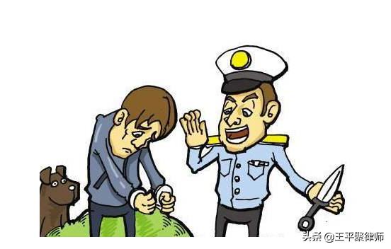 故意杀人罪情节比较轻会判死刑吗,故意杀人罪主动赔偿能免除死刑吗