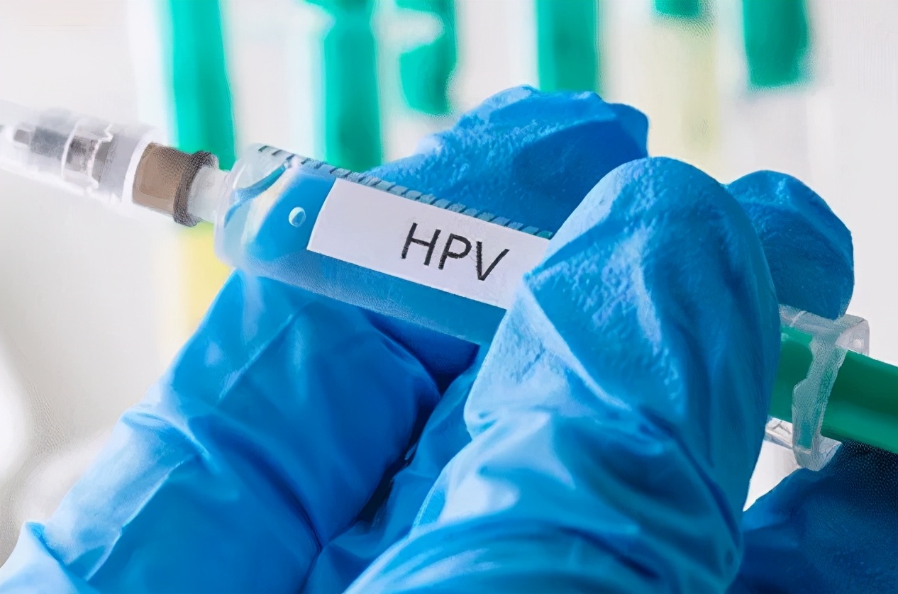 一文带你看懂HPV到底是什么