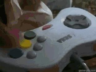 粤b车违章,粤b牌小车在深圳违章有优势吗