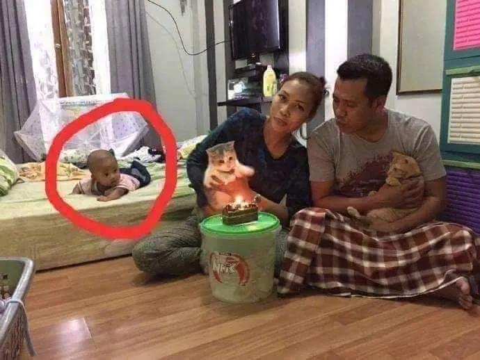 养猫后儿子鼻过敏，妈妈心生一计：不如你搬出去住吧！