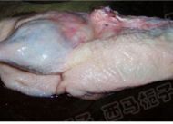 香辣啤酒鸭怎么做法视频,甜辣啤酒鸭做法步骤视频