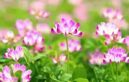 梦参老和尚讲神通故事,梦参老和尚讲一个笑话视频