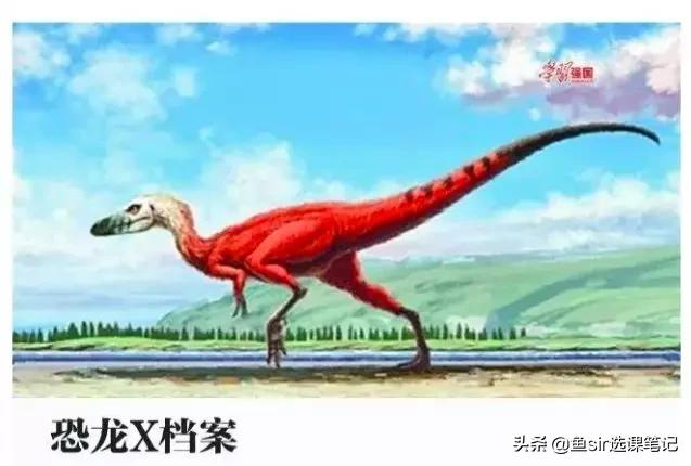 疫情下的孩子学习太难了,疫情期间如何让孩子更好的学习